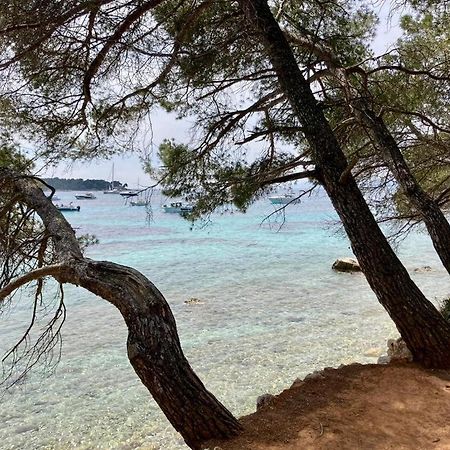 Appartement Centre Croisette Emplacement Exceptionnel Cannes Exterior photo