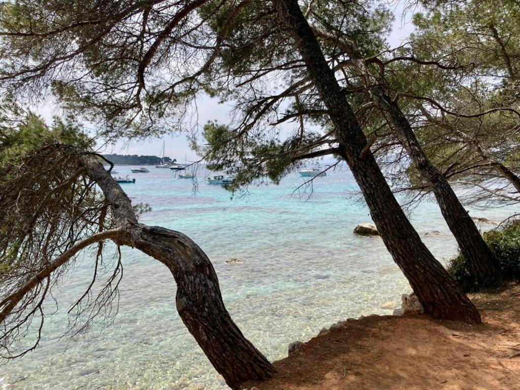 Appartement Centre Croisette Emplacement Exceptionnel Cannes Exterior photo