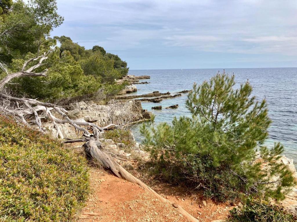 Appartement Centre Croisette Emplacement Exceptionnel Cannes Exterior photo